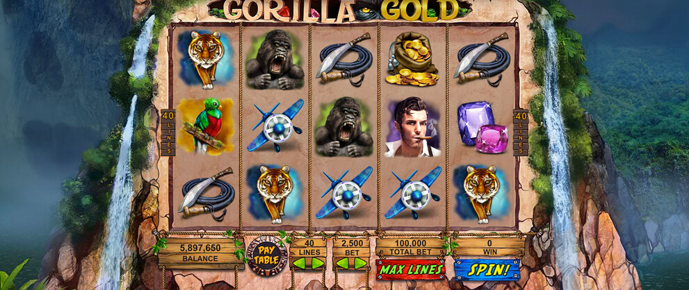 Gorilla