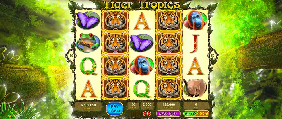 tiger tropics free slots caesars machine